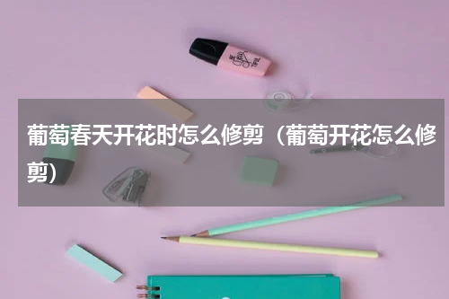 葡萄春天开花时怎么修剪（葡萄开花怎么修剪）