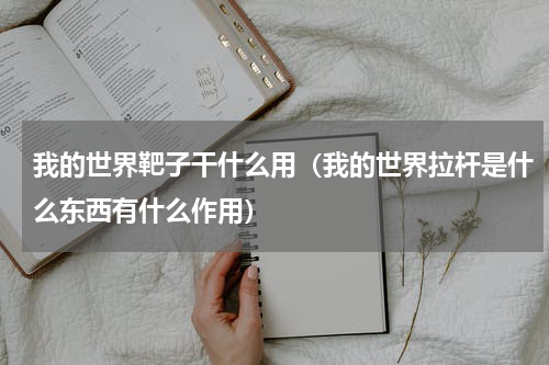 我的世界靶子干什么用（我的世界拉杆是什么东西有什么作用）