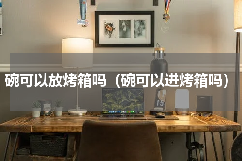 碗可以放烤箱吗（碗可以进烤箱吗）
