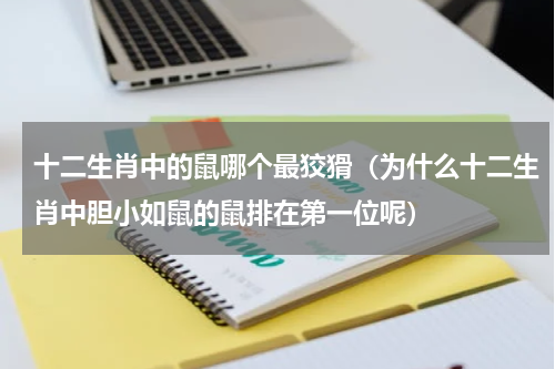 十二生肖中的鼠哪个最狡猾（为什么十二生肖中胆小如鼠的鼠排在第一位呢）