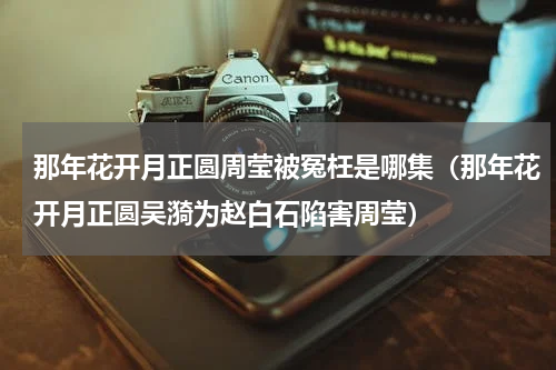 那年花开月正圆周莹被冤枉是哪集（那年花开月正圆吴漪为赵白石陷害周莹）