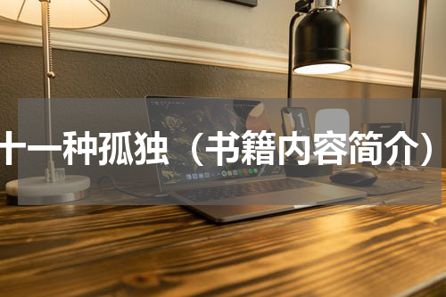 十一种孤独（书籍内容简介）