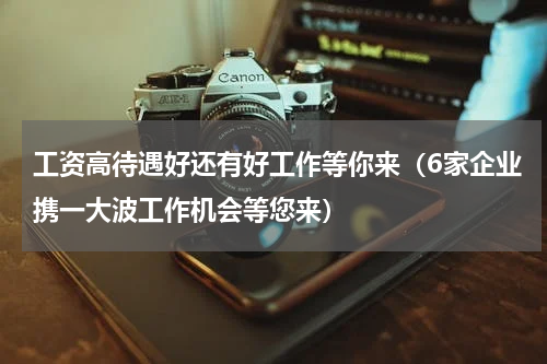 工资高待遇好还有好工作等你来（6家企业携一大波工作机会等您来）