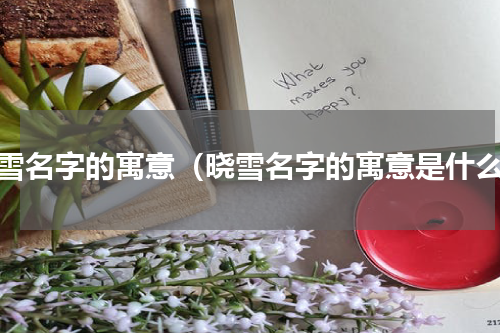 晓雪名字的寓意（晓雪名字的寓意是什么）