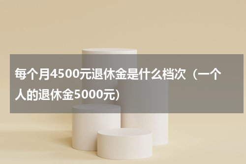 每个月4500元退休金是什么档次（一个人的退休金5000元）