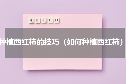 种植西红柿的技巧（如何种植西红柿）