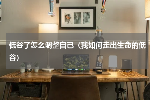 低谷了怎么调整自己（我如何走出生命的低谷）