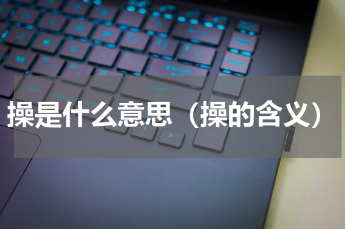 操是什么意思（操的含义）