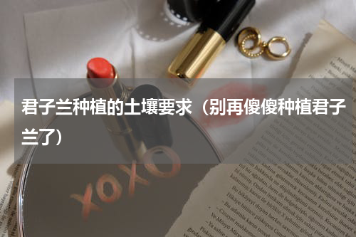 君子兰种植的土壤要求（别再傻傻种植君子兰了）