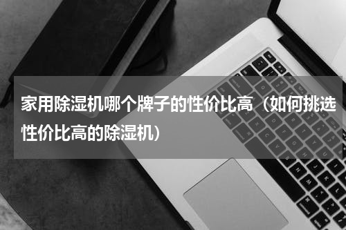 家用除湿机哪个牌子的性价比高（如何挑选性价比高的除湿机）