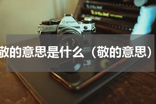 敬的意思是什么（敬的意思）
