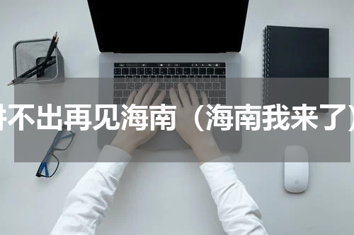 讲不出再见海南（海南我来了）