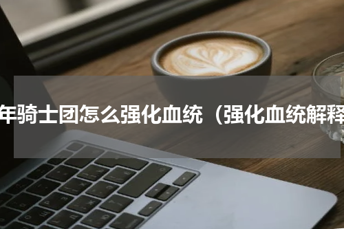 百年骑士团怎么强化血统（强化血统解释）