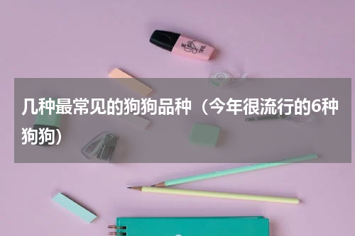 几种最常见的狗狗品种（今年很流行的6种狗狗）