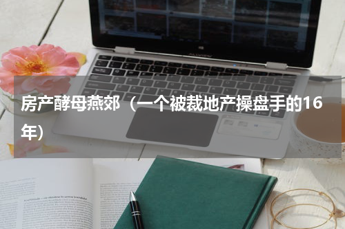 房产酵母燕郊（一个被裁地产操盘手的16年）