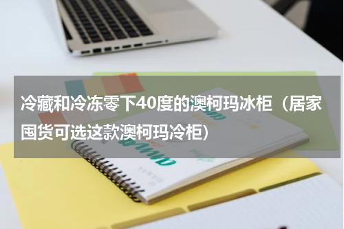 冷藏和冷冻零下40度的澳柯玛冰柜（居家囤货可选这款澳柯玛冷柜）