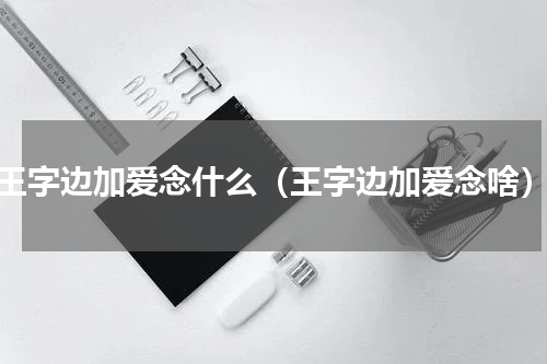 王字边加爱念什么（王字边加爱念啥）