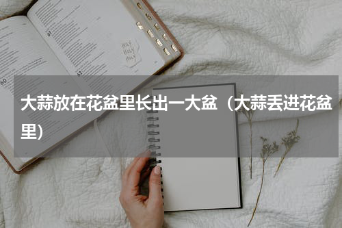 大蒜放在花盆里长出一大盆（大蒜丢进花盆里）