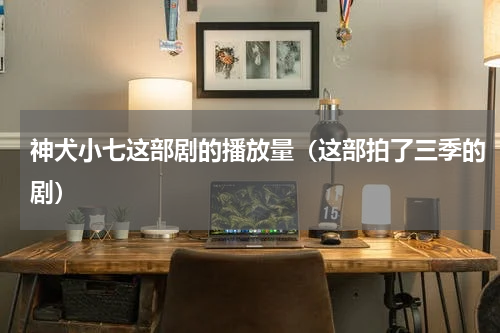 神犬小七这部剧的播放量（这部拍了三季的剧）
