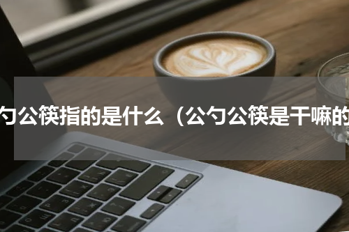 公勺公筷指的是什么（公勺公筷是干嘛的）