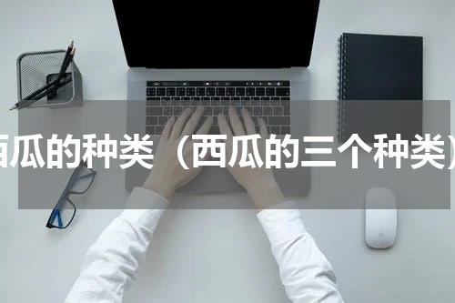 西瓜的种类（西瓜的三个种类）