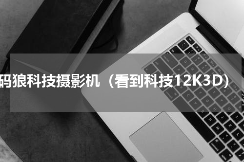 数码狼科技摄影机（看到科技12K3D）