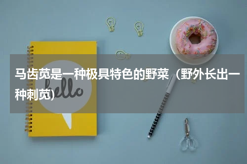 马齿苋是一种极具特色的野菜（野外长出一种刺苋）