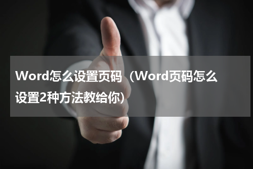 Word怎么设置页码（Word页码怎么设置2种方法教给你）