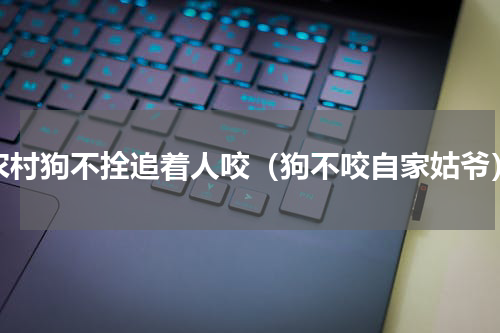 农村狗不拴追着人咬（狗不咬自家姑爷）