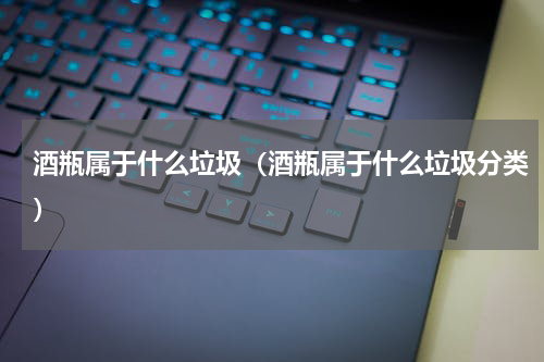 酒瓶属于什么垃圾（酒瓶属于什么垃圾分类）