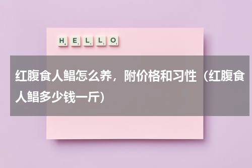 红腹食人鲳怎么养，附价格和习性（红腹食人鲳多少钱一斤）