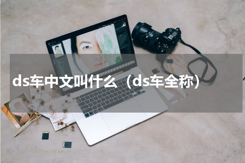 ds车中文叫什么（ds车全称）