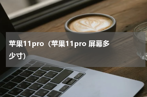 苹果11pro（苹果11pro 屏幕多少寸）