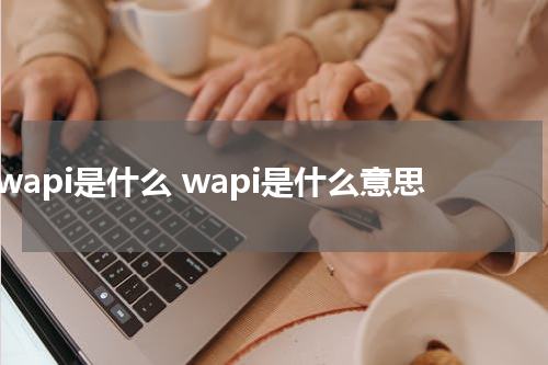 wapi是什么 wapi是什么意思