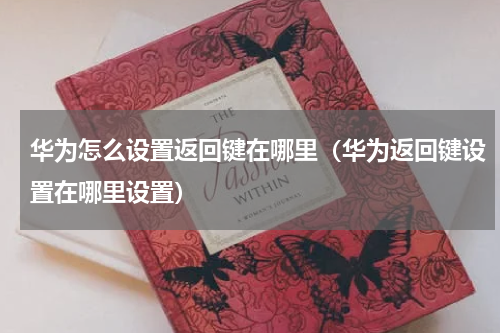 华为怎么设置返回键在哪里（华为返回键设置在哪里设置）