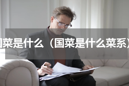 国菜是什么（国菜是什么菜系）