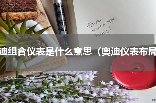 奥迪组合仪表是什么意思（奥迪仪表布局）