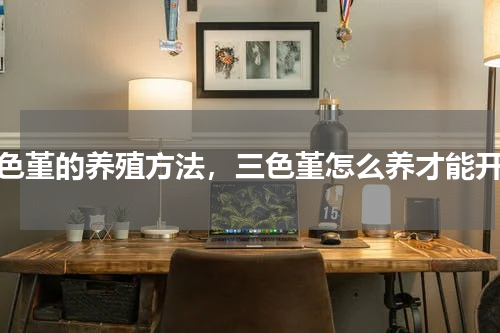 三色堇的养殖方法，三色堇怎么养才能开花