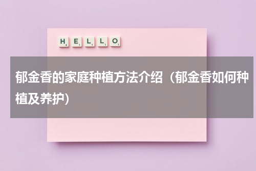 郁金香的家庭种植方法介绍（郁金香如何种植及养护）