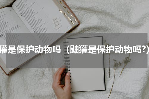 鼬獾是保护动物吗（鼬獾是保护动物吗?）