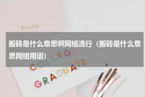 搬砖是什么意思啊网络流行（搬砖是什么意思网络用语）