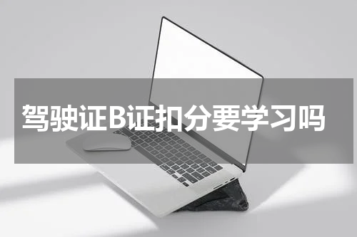 驾驶证B证扣分要学习吗