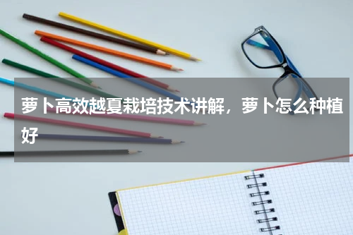 萝卜高效越夏栽培技术讲解，萝卜怎么种植好