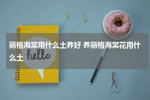 丽格海棠用什么土养好 养丽格海棠花用什么土
