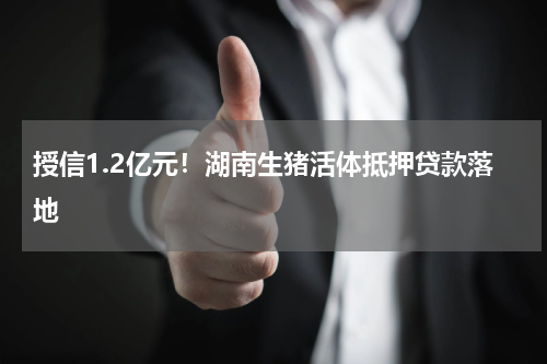 授信1.2亿元！湖南生猪活体抵押贷款落地