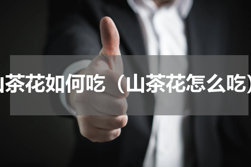 山茶花如何吃（山茶花怎么吃）