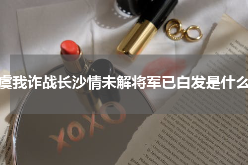 尔虞我诈战长沙情未解将军已白发是什么歌