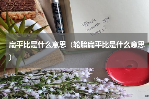 扁平比是什么意思（轮胎扁平比是什么意思）