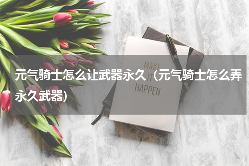 元气骑士怎么让武器永久（元气骑士怎么弄永久武器）