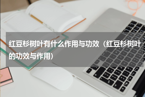 红豆杉树叶有什么作用与功效（红豆杉树叶的功效与作用）